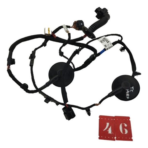 Chicote Porta Traseiro Esquerdo Kia Niro 2024