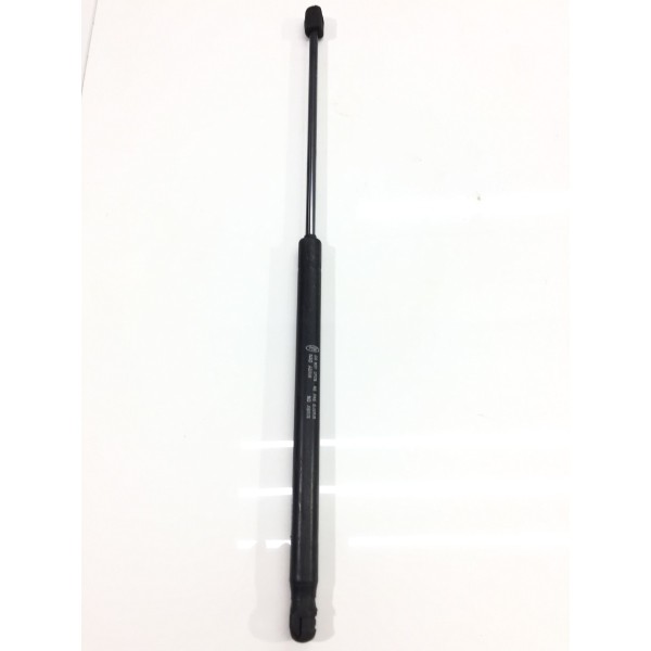 Amortecedor Tampa Porta Malas Ecosport 2013/2016