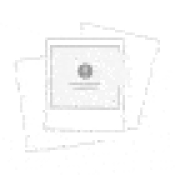 Jogo Tapete Mitsubishi Tr4 2013